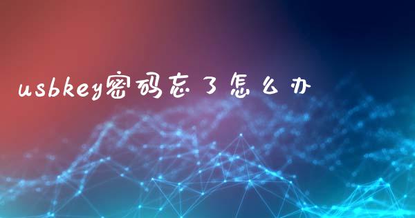 usbkey密码忘了怎么办_https://wap.yjjixie.cn_港股行情_第1张