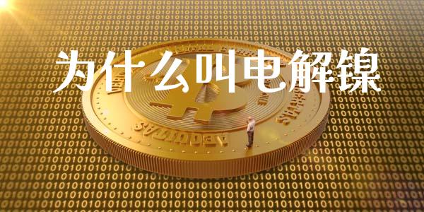 为什么叫电解镍_https://wap.yjjixie.cn_保险理财_第1张