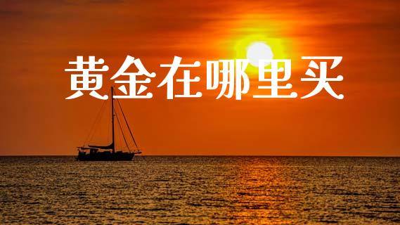 黄金在哪里买_https://wap.yjjixie.cn_证券市场_第1张