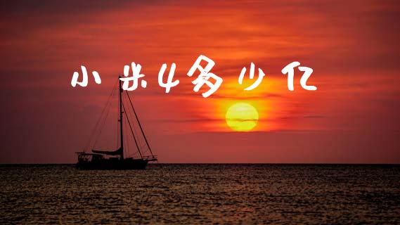 小米4多少亿_https://wap.yjjixie.cn_港股行情_第1张