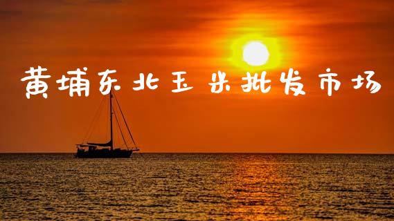黄埔东北玉米批发市场_https://wap.yjjixie.cn_港股行情_第1张
