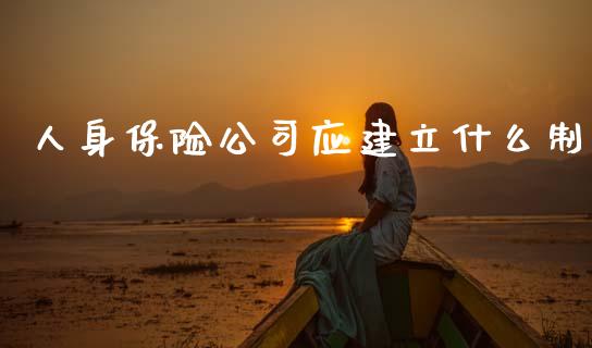 人身保险公司应建立什么制_https://wap.yjjixie.cn_港股行情_第1张
