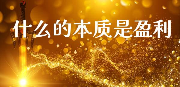 什么的本质是盈利_https://wap.yjjixie.cn_证券市场_第1张