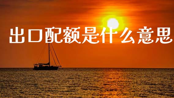 出口配额是什么意思_https://wap.yjjixie.cn_港股行情_第1张
