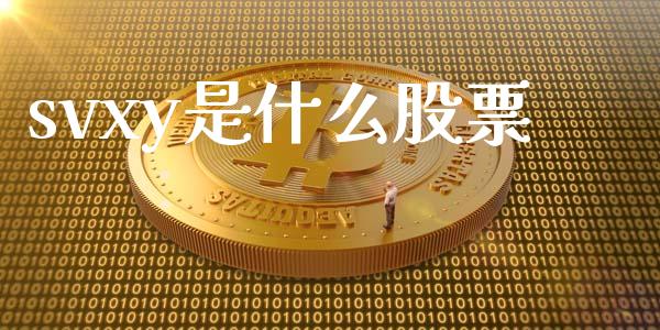 svxy是什么股票_https://wap.yjjixie.cn_港股行情_第1张