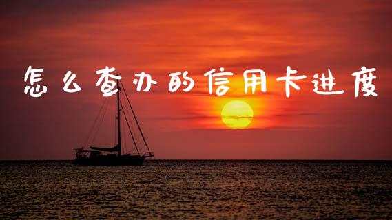 怎么查办的信用卡进度_https://wap.yjjixie.cn_商业资讯_第1张