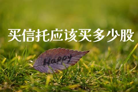 买信托应该买多少股_https://wap.yjjixie.cn_商业资讯_第1张