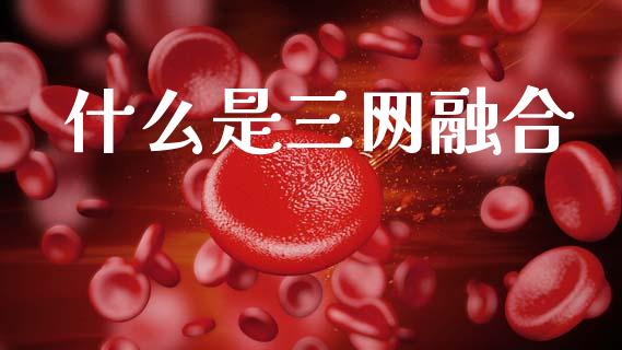 什么是三网融合_https://wap.yjjixie.cn_保险理财_第1张