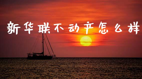 新华联不动产怎么样_https://wap.yjjixie.cn_保险理财_第1张