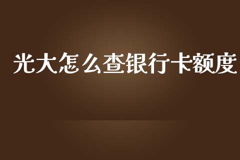 光大怎么查银行卡额度_https://wap.yjjixie.cn_证券市场_第1张