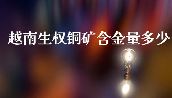 越南生权铜矿含金量多少_https://wap.yjjixie.cn_商业资讯_第1张