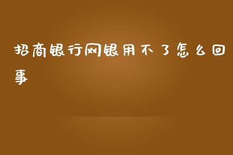 招商银行网银用不了怎么回事_https://wap.yjjixie.cn_港股行情_第1张