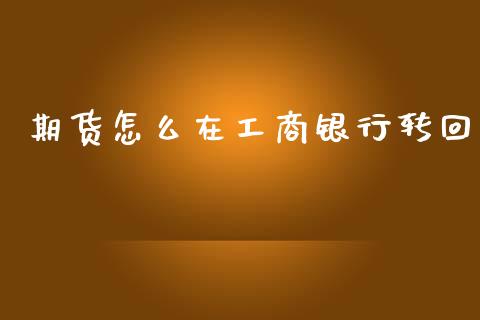 期货怎么在工商银行转回_https://wap.yjjixie.cn_商业资讯_第1张
