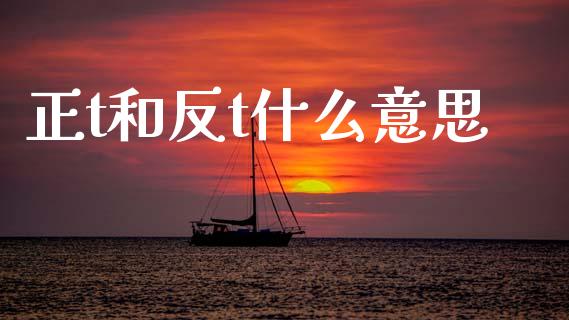 正t和反t什么意思_https://wap.yjjixie.cn_港股行情_第1张