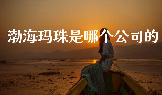 渤海玛珠是哪个公司的_https://wap.yjjixie.cn_商业资讯_第1张