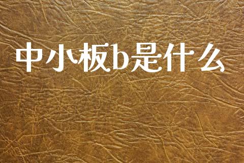 中小板b是什么_https://wap.yjjixie.cn_保险理财_第1张