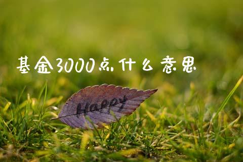 基金3000点什么意思_https://wap.yjjixie.cn_保险理财_第1张