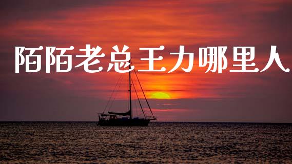 陌陌老总王力哪里人_https://wap.yjjixie.cn_保险理财_第1张