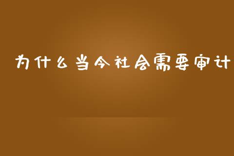 为什么当今社会需要审计_https://wap.yjjixie.cn_商业资讯_第1张