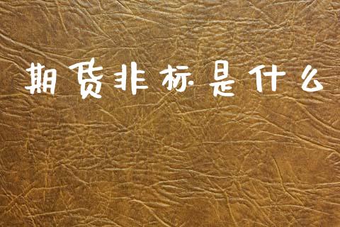 期货非标是什么_https://wap.yjjixie.cn_证券市场_第1张