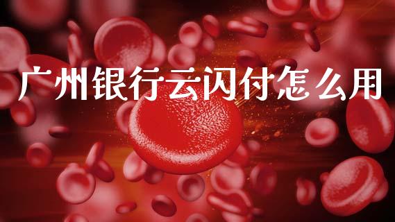 广州银行云闪付怎么用_https://wap.yjjixie.cn_港股行情_第1张