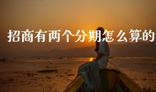 招商有两个分期怎么算的_https://wap.yjjixie.cn_保险理财_第1张