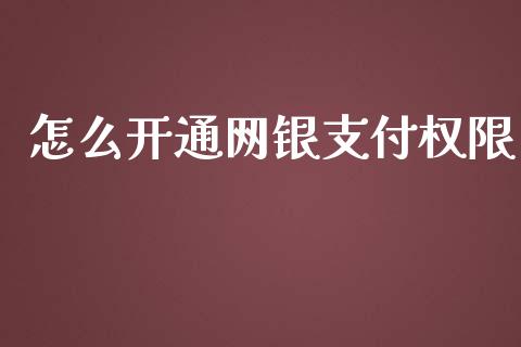 怎么开通网银支付权限_https://wap.yjjixie.cn_证券市场_第1张
