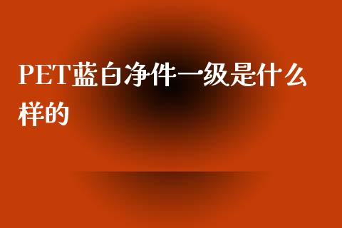 PET蓝白净件一级是什么样的_https://wap.yjjixie.cn_保险理财_第1张