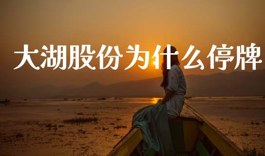 大湖股份为什么停牌_https://wap.yjjixie.cn_商业资讯_第1张