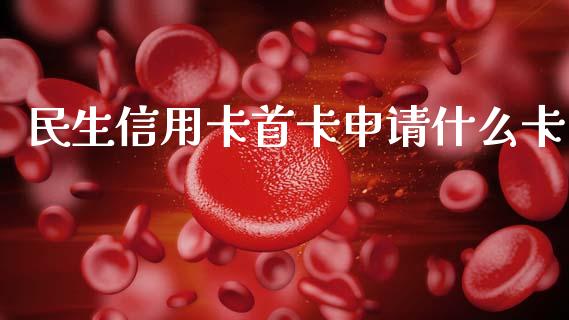 民生信用卡首卡申请什么卡_https://wap.yjjixie.cn_商业资讯_第1张