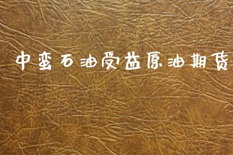 中蛮石油受益原油期货_https://wap.yjjixie.cn_商业资讯_第1张