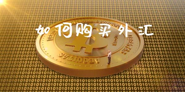 如何购买外汇_https://wap.yjjixie.cn_港股行情_第1张