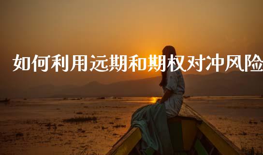 如何利用远期和期权对冲风险_https://wap.yjjixie.cn_港股行情_第1张