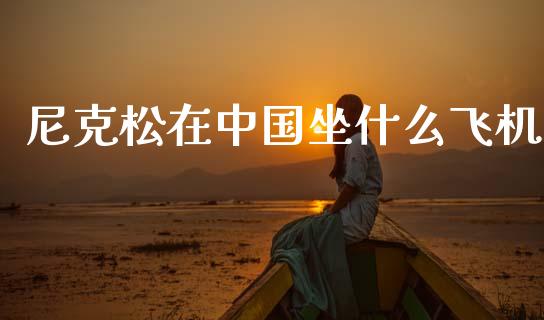 尼克松在中国坐什么飞机_https://wap.yjjixie.cn_证券市场_第1张