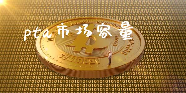 pta市场容量_https://wap.yjjixie.cn_证券市场_第1张