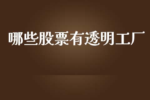哪些股票有透明工厂_https://wap.yjjixie.cn_港股行情_第1张