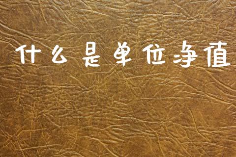 什么是单位净值_https://wap.yjjixie.cn_证券市场_第1张