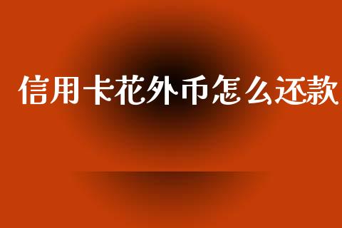 信用卡花外币怎么还款_https://wap.yjjixie.cn_商业资讯_第1张