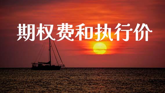 期权费和执行价_https://wap.yjjixie.cn_保险理财_第1张