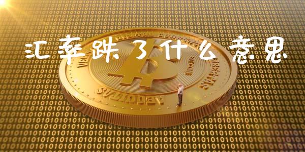 汇率跌了什么意思_https://wap.yjjixie.cn_保险理财_第1张