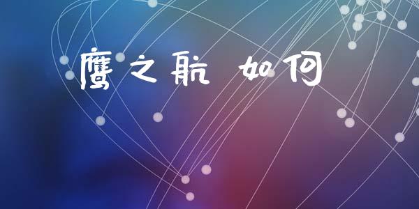 鹰之航 如何_https://wap.yjjixie.cn_证券市场_第1张