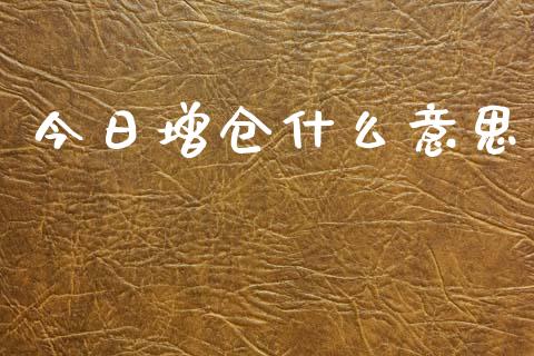 今日增仓什么意思_https://wap.yjjixie.cn_证券市场_第1张