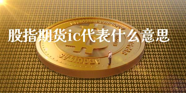 股指期货ic代表什么意思_https://wap.yjjixie.cn_商业资讯_第1张