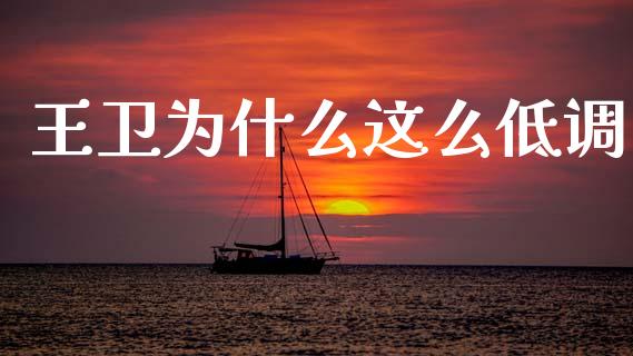 王卫为什么这么低调_https://wap.yjjixie.cn_证券市场_第1张