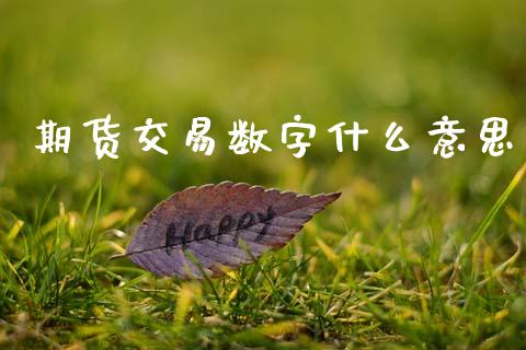 期货交易数字什么意思_https://wap.yjjixie.cn_港股行情_第1张