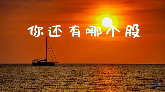 你还有哪个股_https://wap.yjjixie.cn_港股行情_第1张