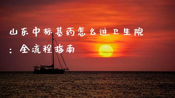 山东中标基药怎么进卫生院：全流程指南_https://wap.yjjixie.cn_商业资讯_第1张