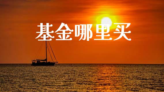 基金哪里买_https://wap.yjjixie.cn_保险理财_第1张
