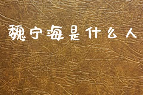 魏宁海是什么人_https://wap.yjjixie.cn_保险理财_第1张