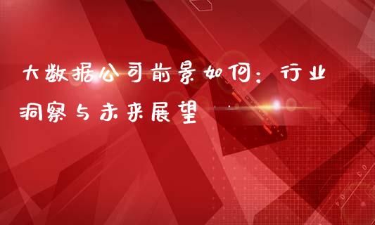 大数据公司前景如何：行业洞察与未来展望_https://wap.yjjixie.cn_证券市场_第1张